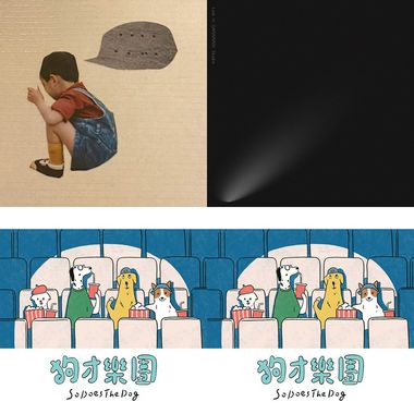 音乐节