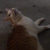 超