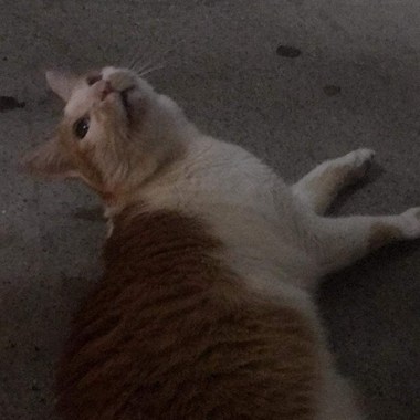 超