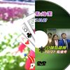 张心平