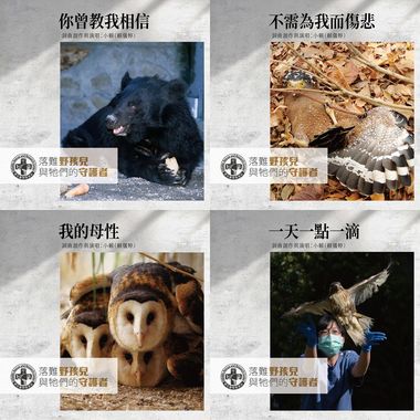 音乐会