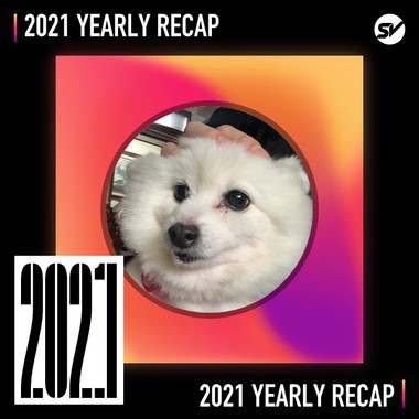 2021 个人年度精选之最