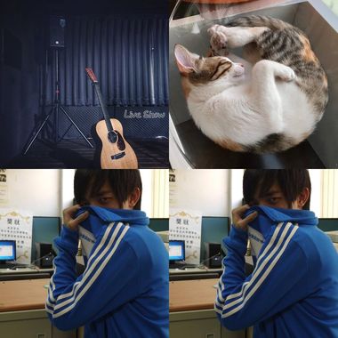 嘉
