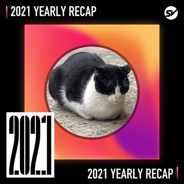 2021 个人年度精选之最