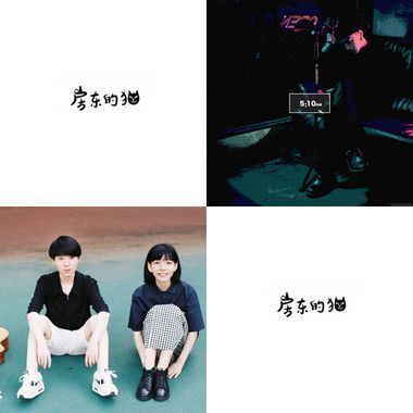 我的歌单  