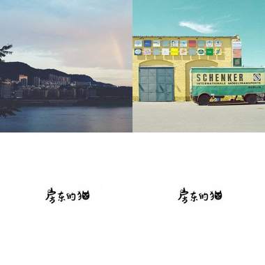 房东的猫