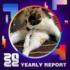 2022 个人年度精选
