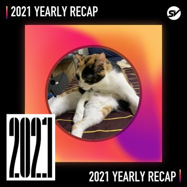 2021 个人年度精选之最