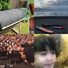 阿岳demo
