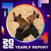 2022 个人年度精选