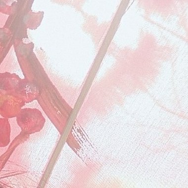 捕风