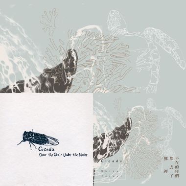 晚安雪宝