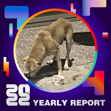 2022 个人年度精选
