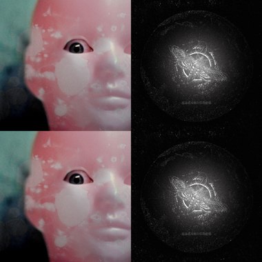 0.0