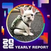 2022 个人年度精选