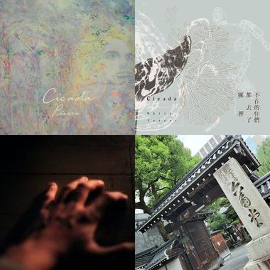 演奏