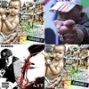幼稚园杀手,凤凰鸣