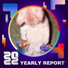 2022 个人年度精选