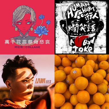 小树推荐