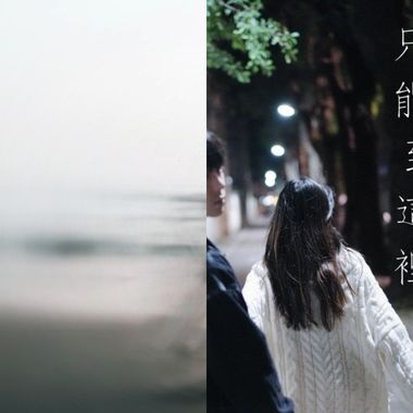 鲨鱼