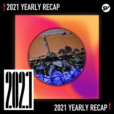 2021 个人年度精选之最