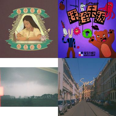 房东的猫