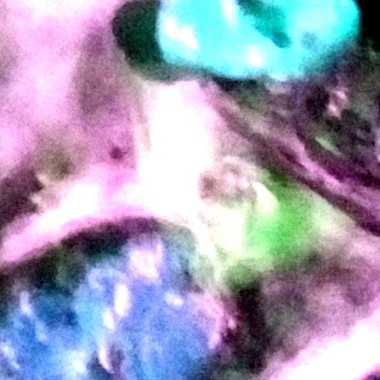 hezx