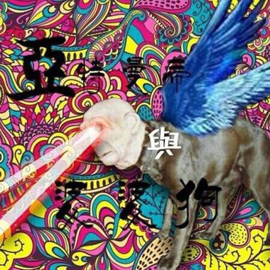 变胖校队