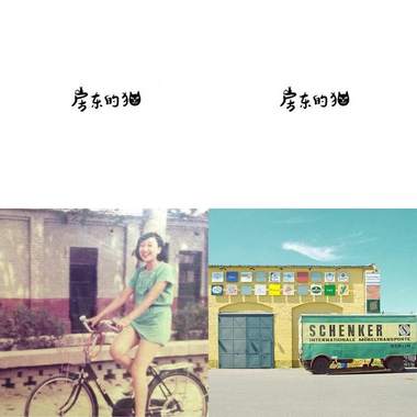 房东的猫