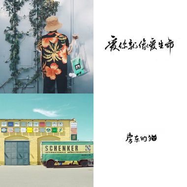 我的歌单  