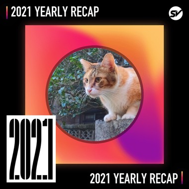 2021 个人年度精选之最
