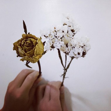 情绪承载思绪