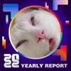 2022 个人年度精选