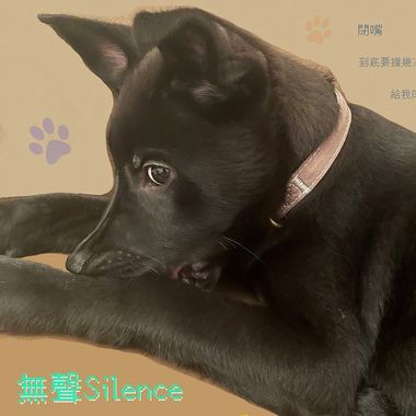 无声