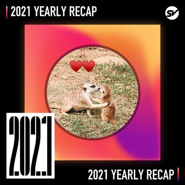 2021 个人年度精选之最
