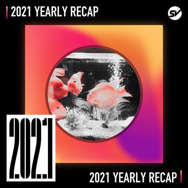 2021 个人年度精选之最