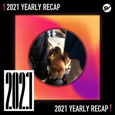 2021 个人年度精选之最