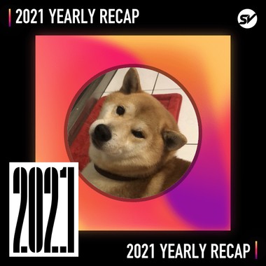 2021 个人年度精选之最