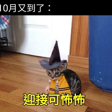 赞ㄌ
