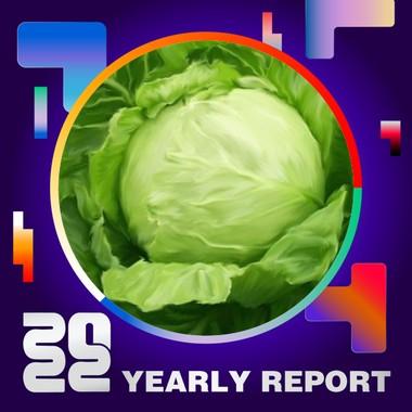 2022 个人年度精选