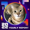 2022 个人年度精选