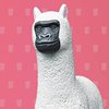 [铁观音]