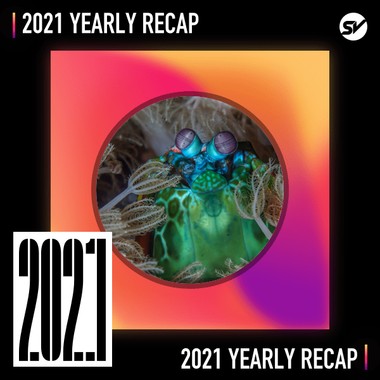 2021 个人年度精选之最