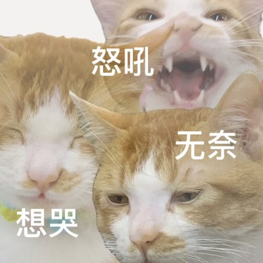 社畜加油站，打工人港湾