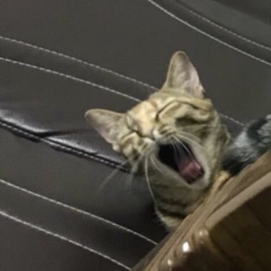 26
