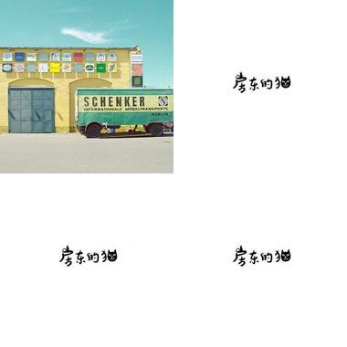 房东的猫