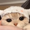 叽里呱啦