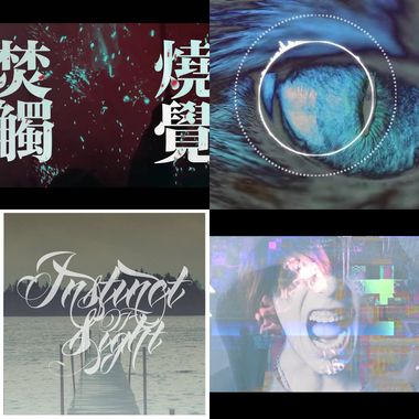 instinct of sight