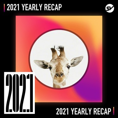 2021 个人年度精选之最