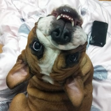 我的歌单